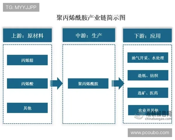 欧博管理流程在企业战略实施中的应用与效果分析